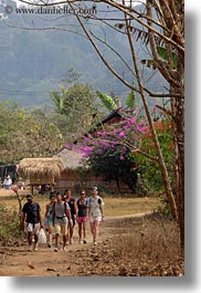 images/Asia/Laos/Villages/Hmong-3/Misc/tourists-hiking-by-trees-n-flowers.jpg