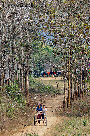 two-women-pushing-cart-thru-trees.jpg