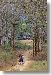images/Asia/Laos/Villages/Hmong-3/Misc/two-women-pushing-cart-thru-trees.jpg