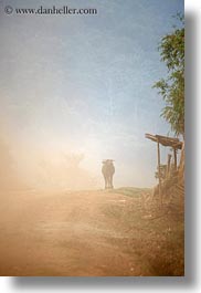 images/Asia/Laos/Villages/Rural/water_buffalo-1.jpg