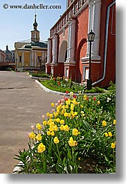 images/Asia/Russia/Moscow/Buildings/Churches/Monestary/yellow-tulips-n-churches.jpg