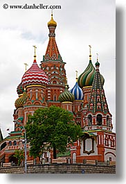 images/Asia/Russia/Moscow/Buildings/Churches/StBasilCathedral/st_basil-cathedral-n-tree.jpg