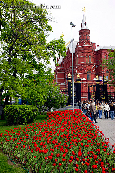 museum-n-tulips.jpg