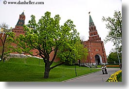 images/Asia/Russia/Moscow/Buildings/Kremlin/tower-n-tree-n-yellow-tulips-1.jpg