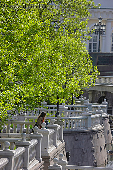 woman-overlooking-wall-w-tree-01.jpg