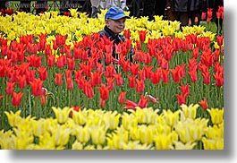 images/Asia/Russia/Moscow/People/Children/boy-in-tulips.jpg