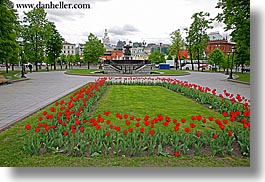 images/Asia/Russia/Moscow/Plants/red-tulips-1.jpg