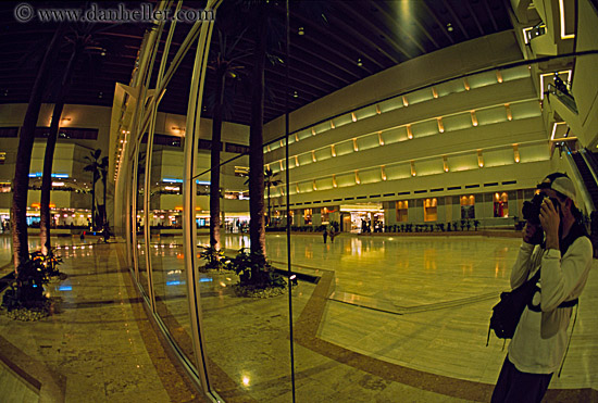 fisheye-reflection.jpg