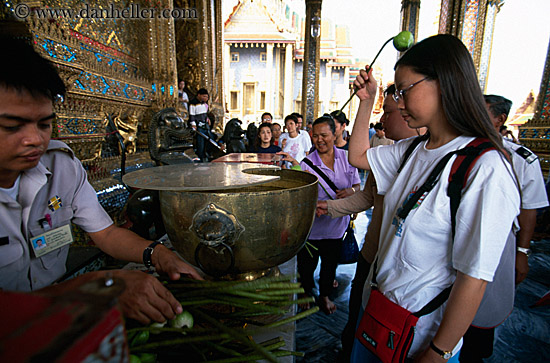 woman-praying-w-flower.jpg