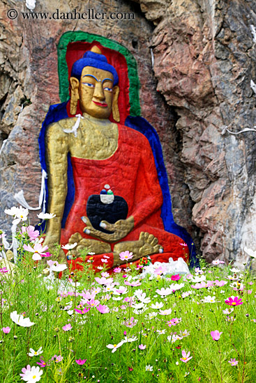 buddha-n-pink-flowers-02.jpg