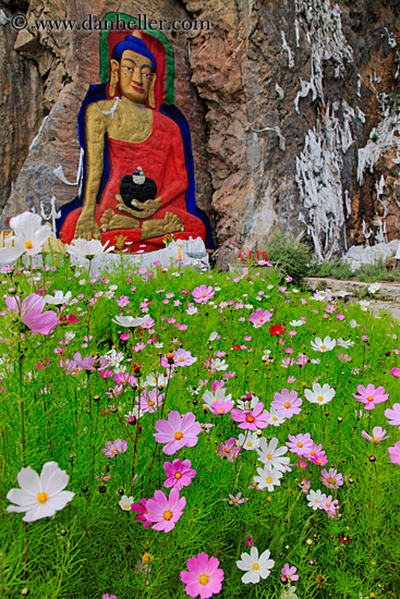 buddha-n-pink-flowers-03.jpg