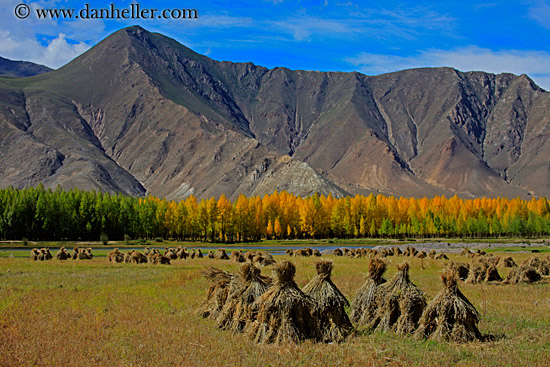 barley-stacks-foliage-trees-n-mtns-02.jpg