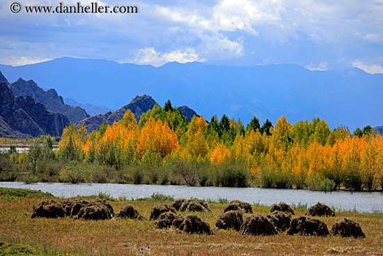 barley-stacks-foliage-trees-n-mtns-03.jpg