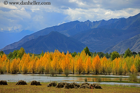 barley-stacks-foliage-trees-n-mtns-04.jpg