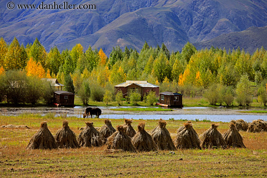 barley-stacks-foliage-trees-n-mtns-06.jpg