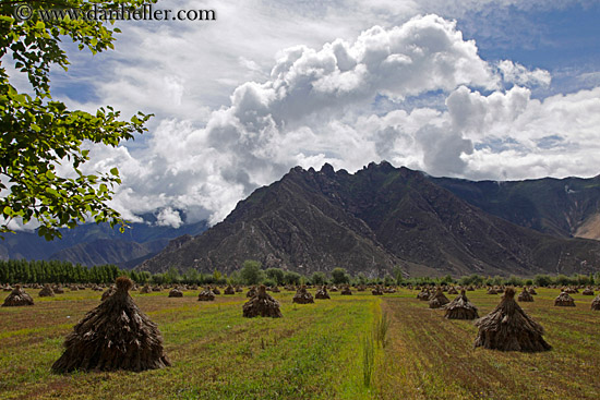 fields-n-mtns-n-clouds-01.jpg