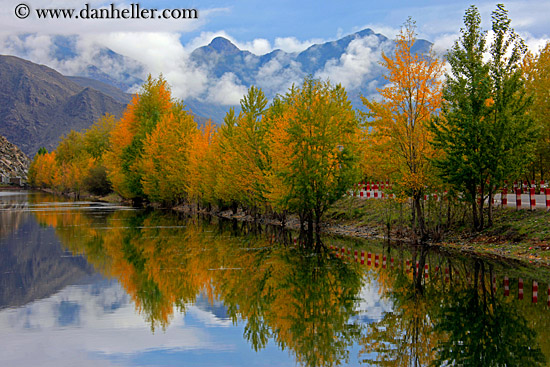 foliage-trees-reflection-n-fog-mtns-01.jpg