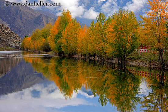 foliage-trees-reflection-n-fog-mtns-02.jpg