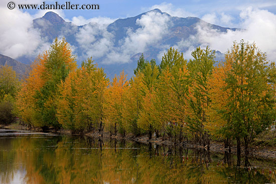 foliage-trees-reflection-n-fog-mtns-03.jpg