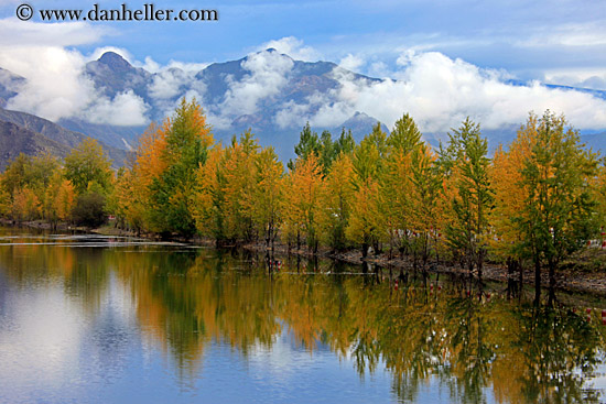 foliage-trees-reflection-n-fog-mtns-04.jpg