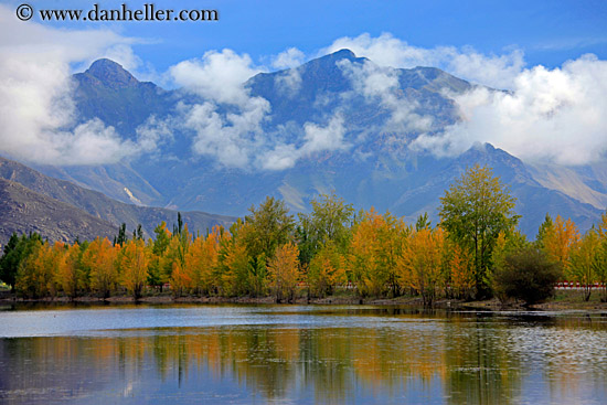 foliage-trees-reflection-n-fog-mtns-06.jpg