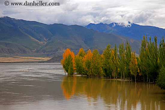 foliage-trees-reflection-n-fog-mtns-07.jpg