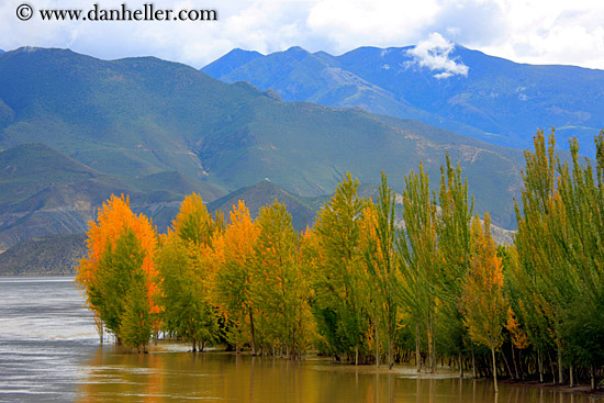 foliage-trees-reflection-n-fog-mtns-08.jpg