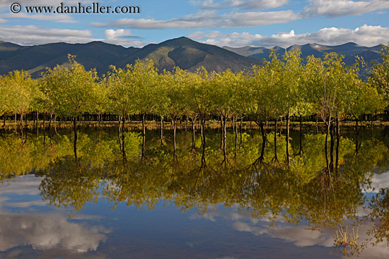 trees-reflection-mtns-n-clouds-02.jpg