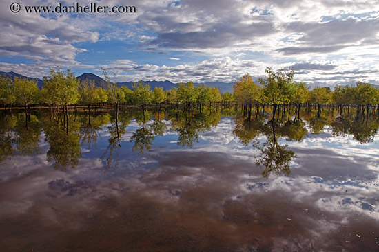 trees-reflection-mtns-n-clouds-03.jpg