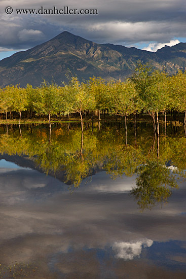 trees-reflection-mtns-n-clouds-07.jpg