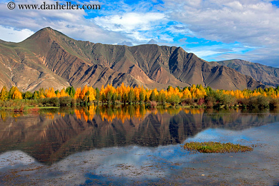 trees-reflection-mtns-n-clouds-09.jpg