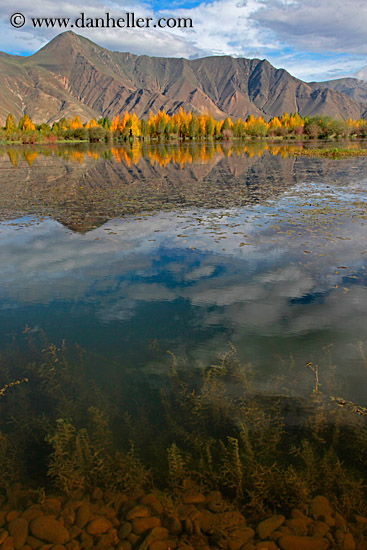 trees-reflection-mtns-n-clouds-10.jpg