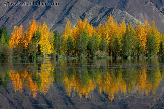 trees-reflection-mtns-n-clouds-13.jpg