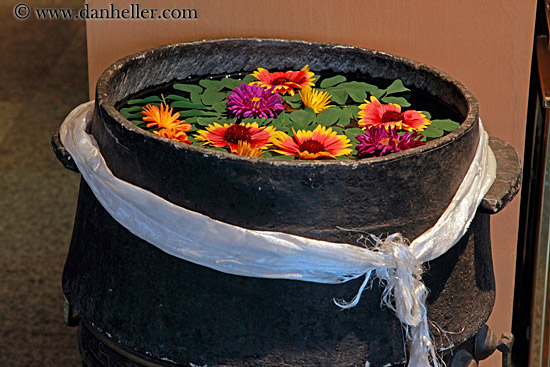 flowers-in-barrel-02.jpg