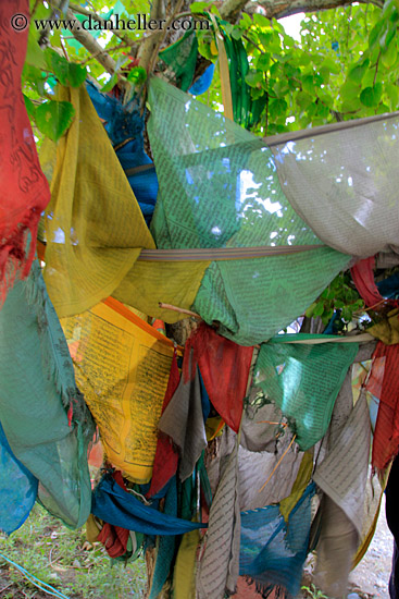 prayer-flags-04.jpg