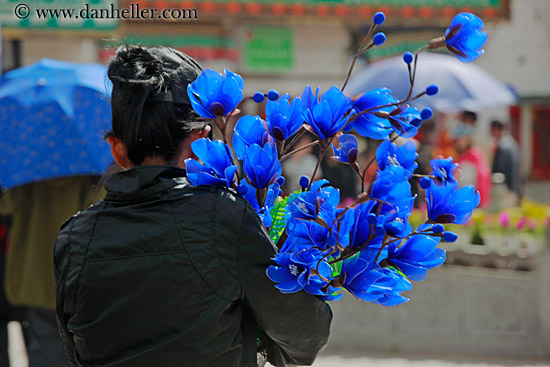 woman-carrying-blue-flowers-01.jpg