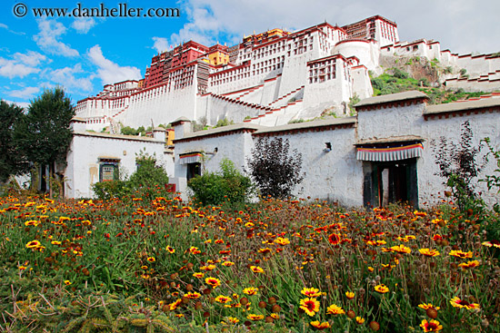 potala-palace-n-flowers-01.jpg