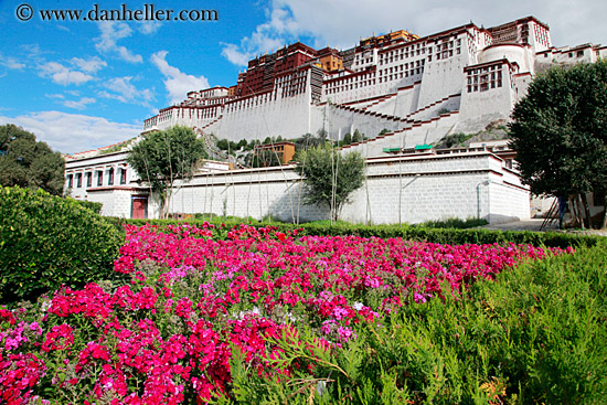 potala-palace-n-flowers-02.jpg