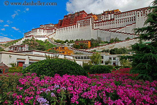 potala-palace-n-flowers-03.jpg