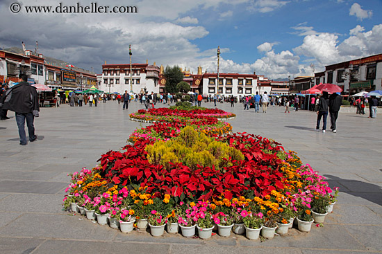 flowers-on-square-01.jpg