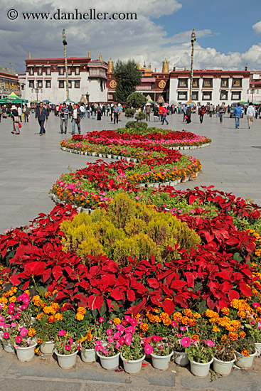 flowers-on-square-02.jpg