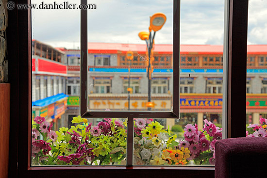 window-plants-n-bldgs-01.jpg