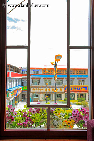 window-plants-n-bldgs-02.jpg