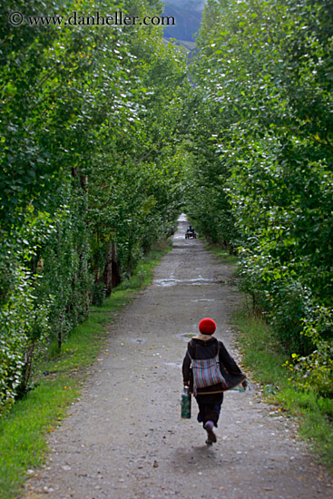 women-w-red-hat-in-tree-tunnel.jpg