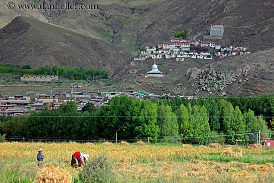 woman-working-in-field.jpg