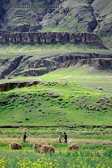 field-workers-n-hay-stacks-01.jpg