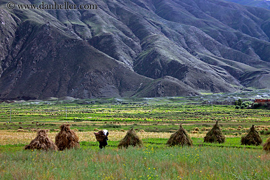 field-workers-n-hay-stacks-02.jpg