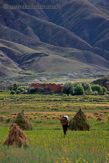 field-workers-n-hay-stacks-03.jpg