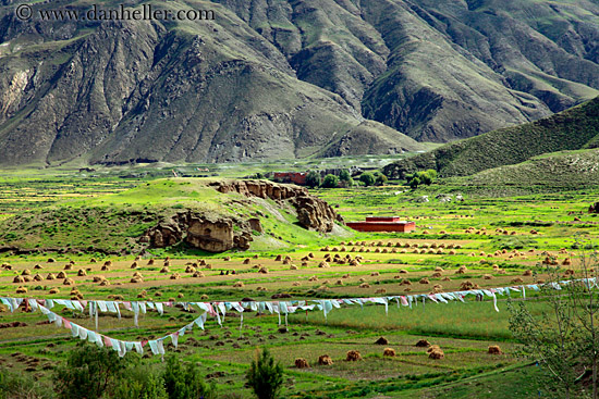 prayer_flags-n-fields-02.jpg