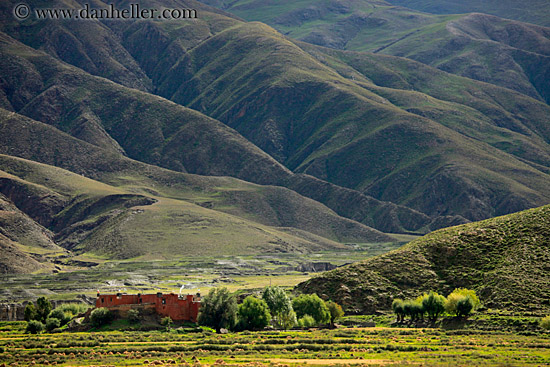 trees-bldg-n-mtns.jpg